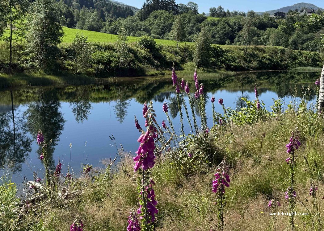 (5590) Etne - 78 Vassendvegen — foto