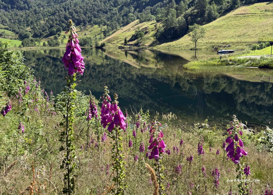 (5590) Etne - 78 Vassendvegen — foto 2