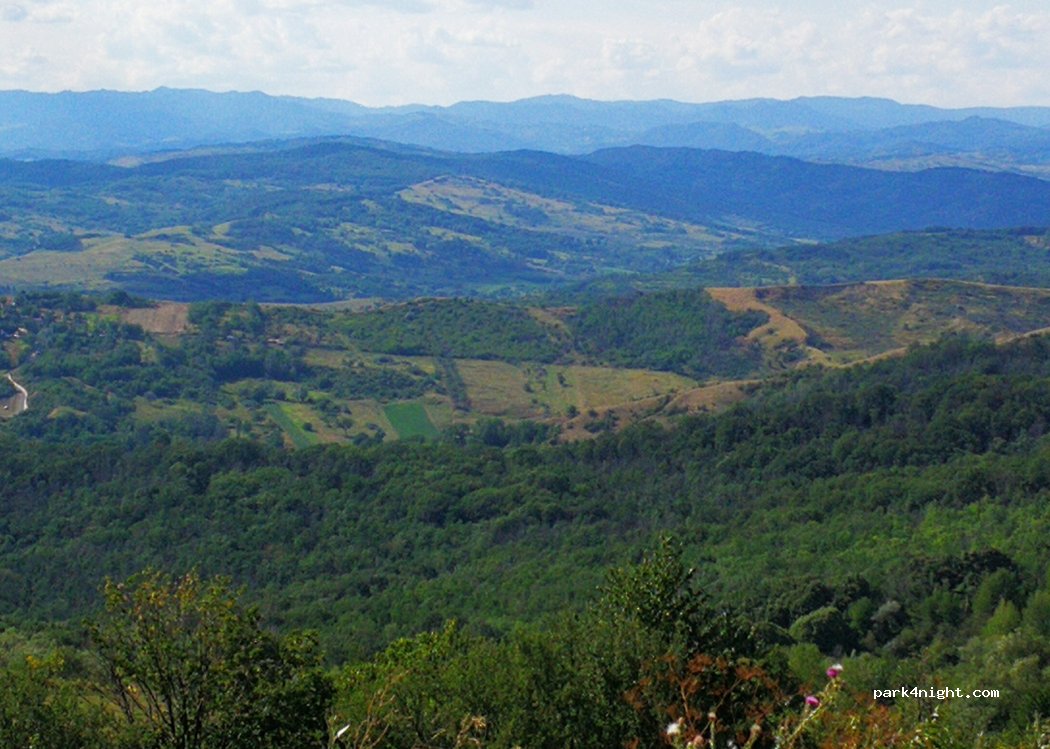 (127273) Livada Mică - — foto 3