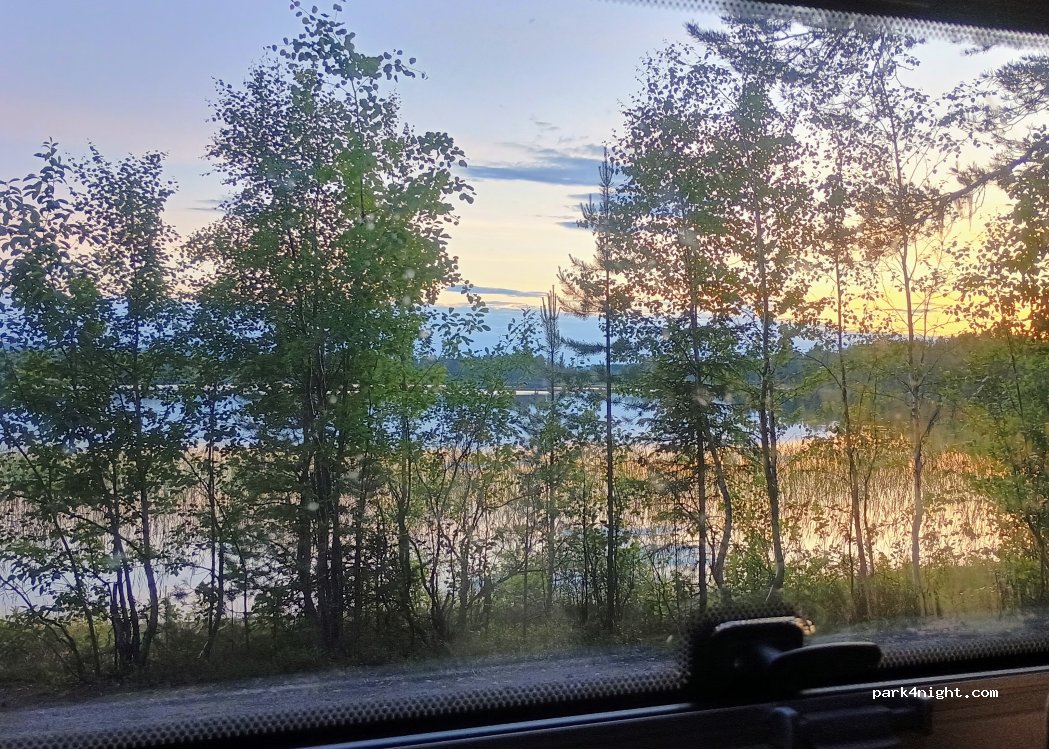 (924 92) Blattnicksele - — foto