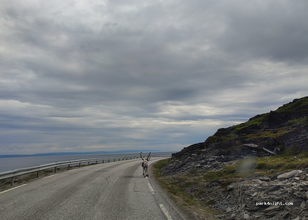 (9713) Porsanger - E69 — foto