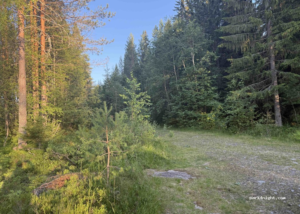 (2340) Løten - — foto 3