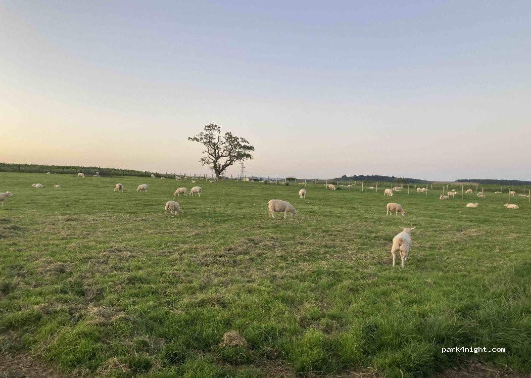 Woodhead Farm Caravan Site Catterlen Penrith — foto