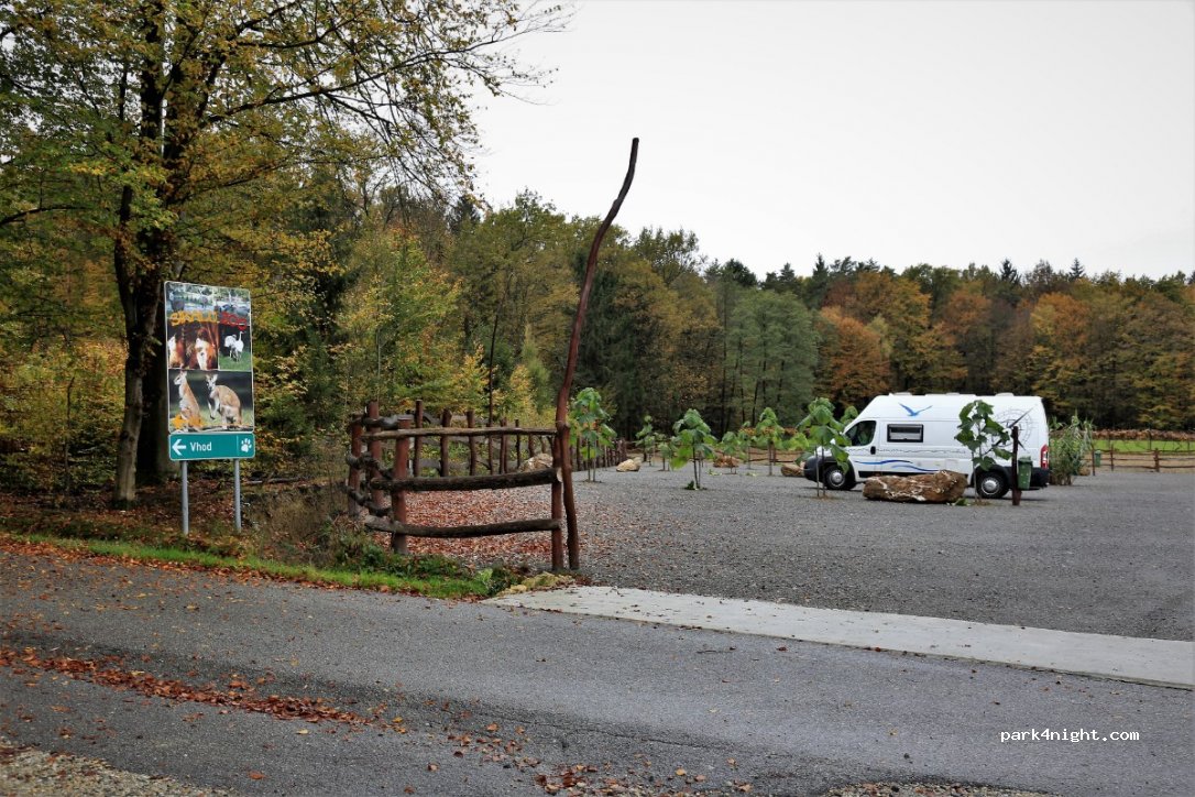 (9252) Boračeva - 53 Boračeva — foto
