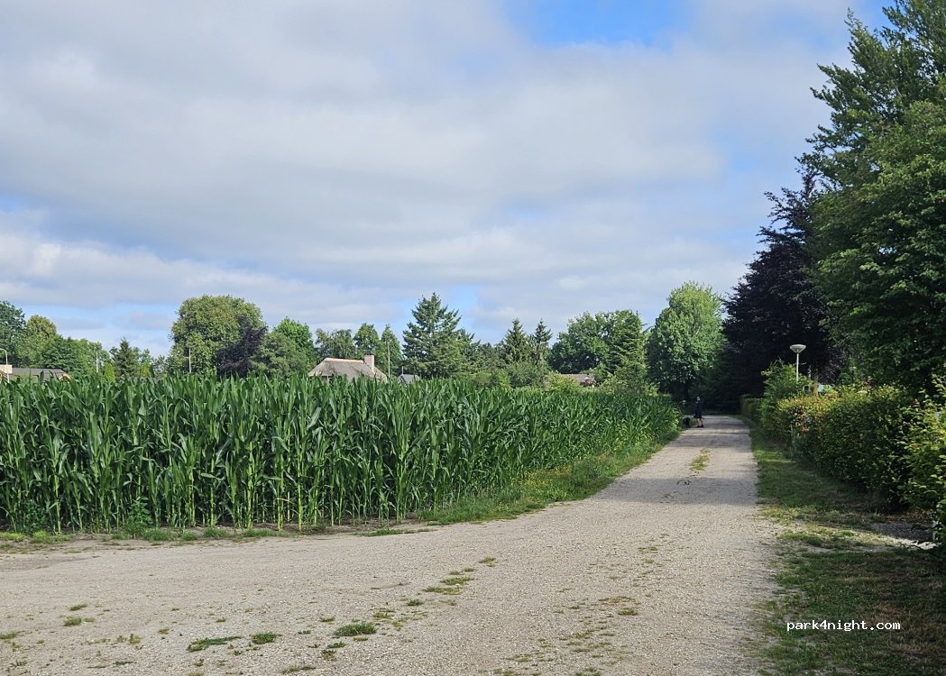 (8077 RP) Hulshorst - 15 Vuurkuilweg — foto 2