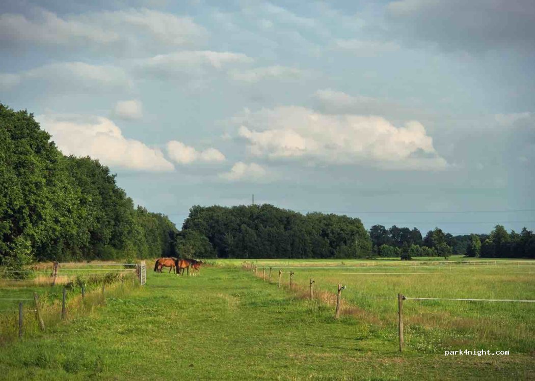 Dekema Equestrian Camping — foto