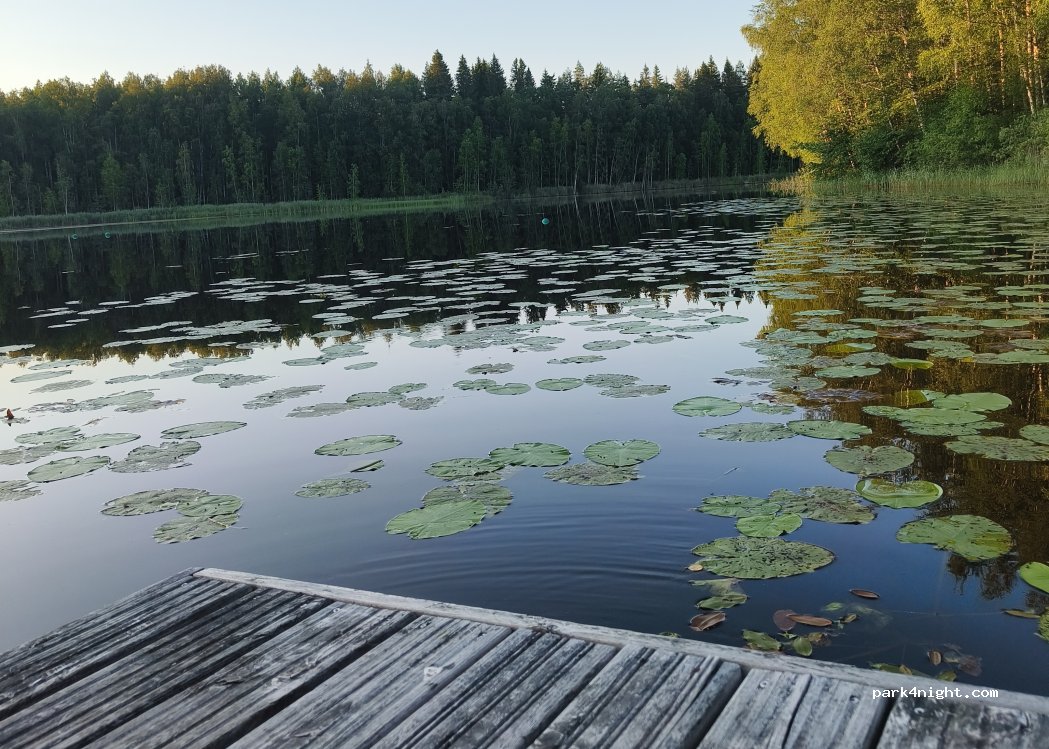 (33560) Tampere - 89 Pikku-Niihaman tie — foto