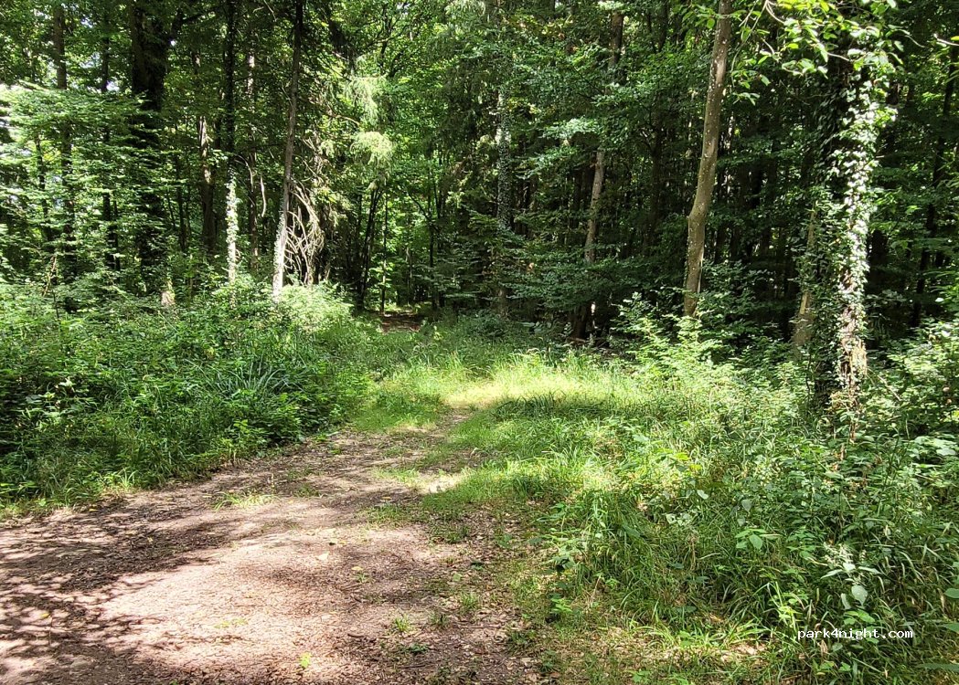 (67510) Lembach - — foto