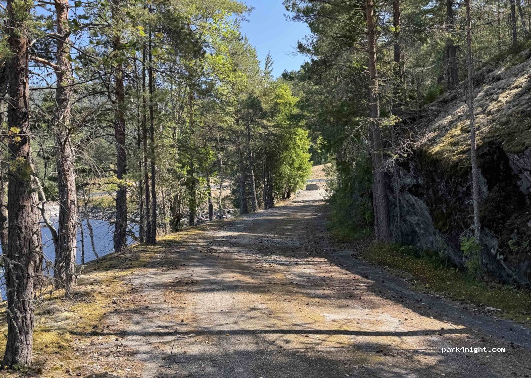 (3854) Nissedalsvegen - — foto 3