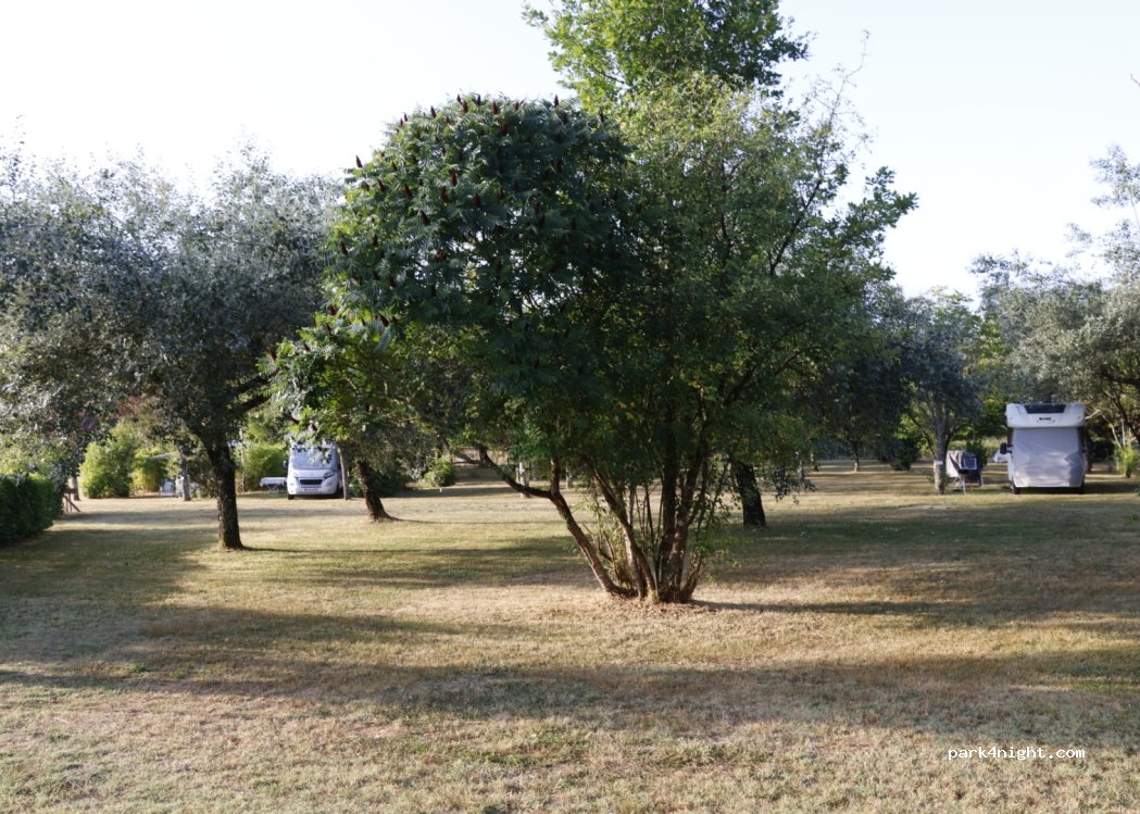 Camping Le Tilleul - 3 étoiles (ancien Camping Bouyssou) — foto 4