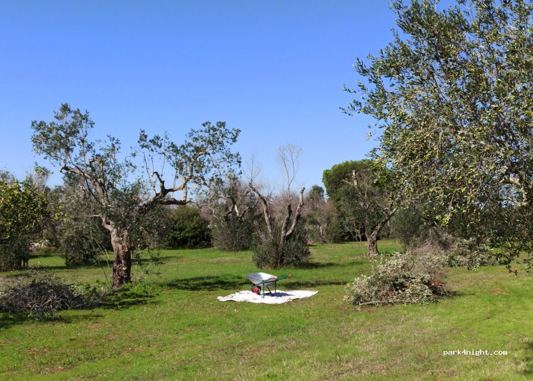 (73034) Gagliano del Capo LE - — foto