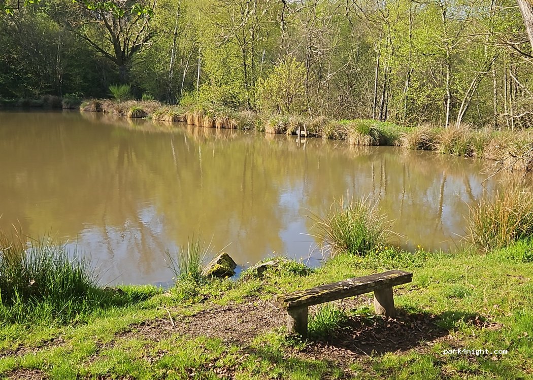 Camping les Mésanges — foto 5
