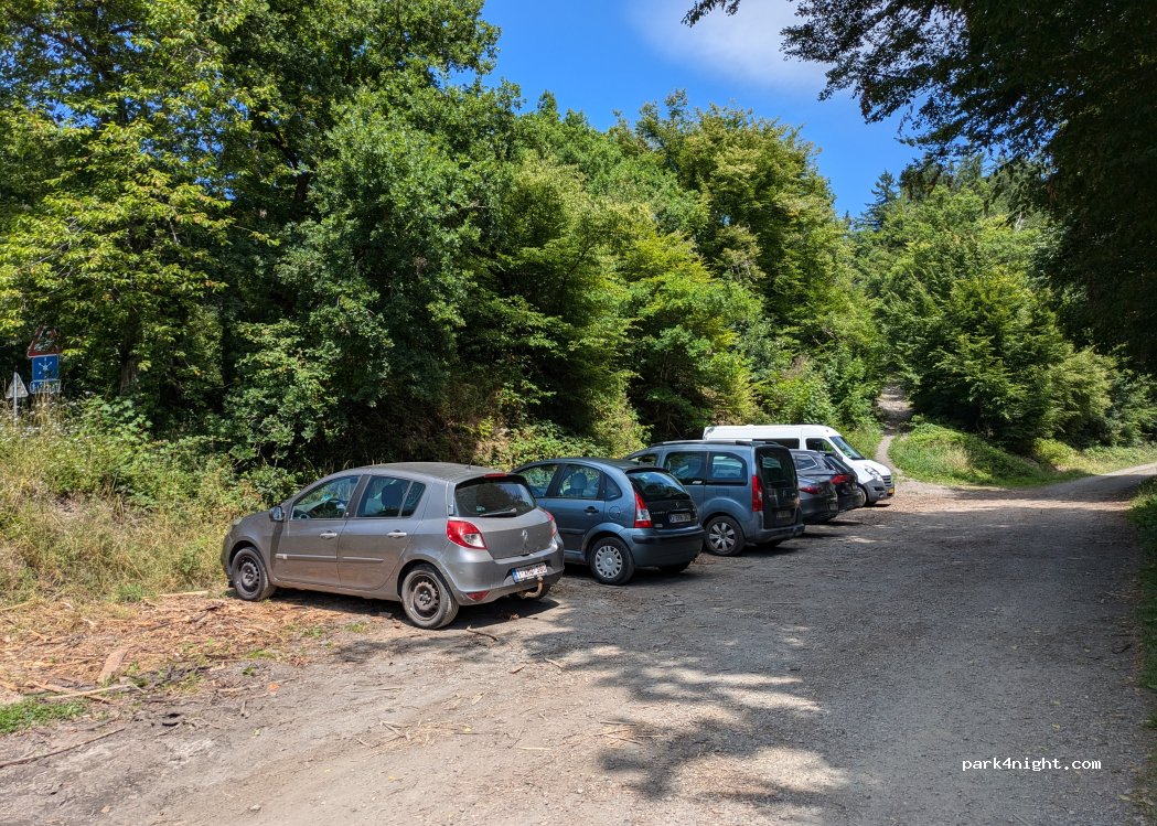 (6982) La Roche-en-Ardenne - 17 Mâboge — foto 2