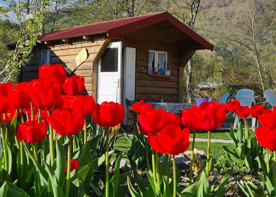 () Kolašin - Polje — foto 4