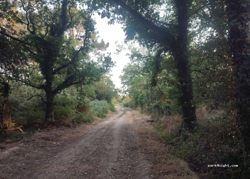 (44420) La Turballe - Chemin de la Garenne — foto
