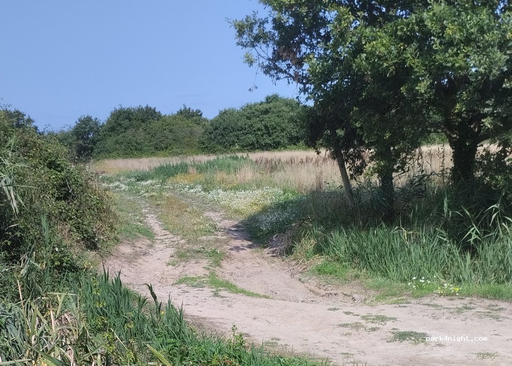 (44420) La Turballe - Chemin de la Garenne — foto 2
