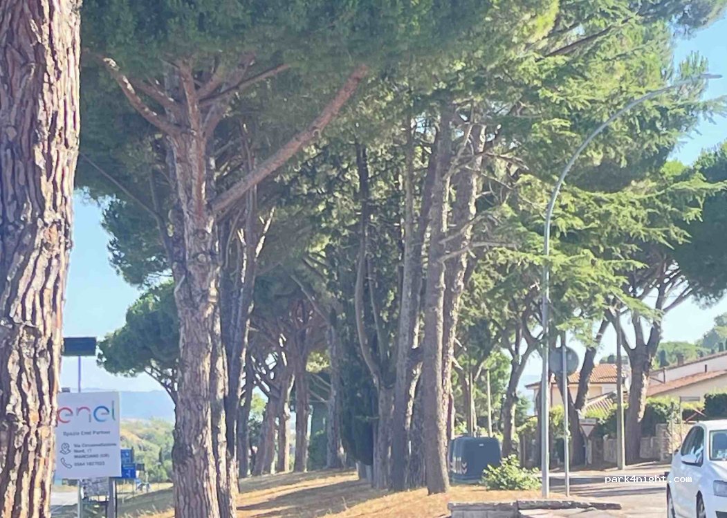 (58014) Marsiliana - 273 Piazza della Chiesa — foto