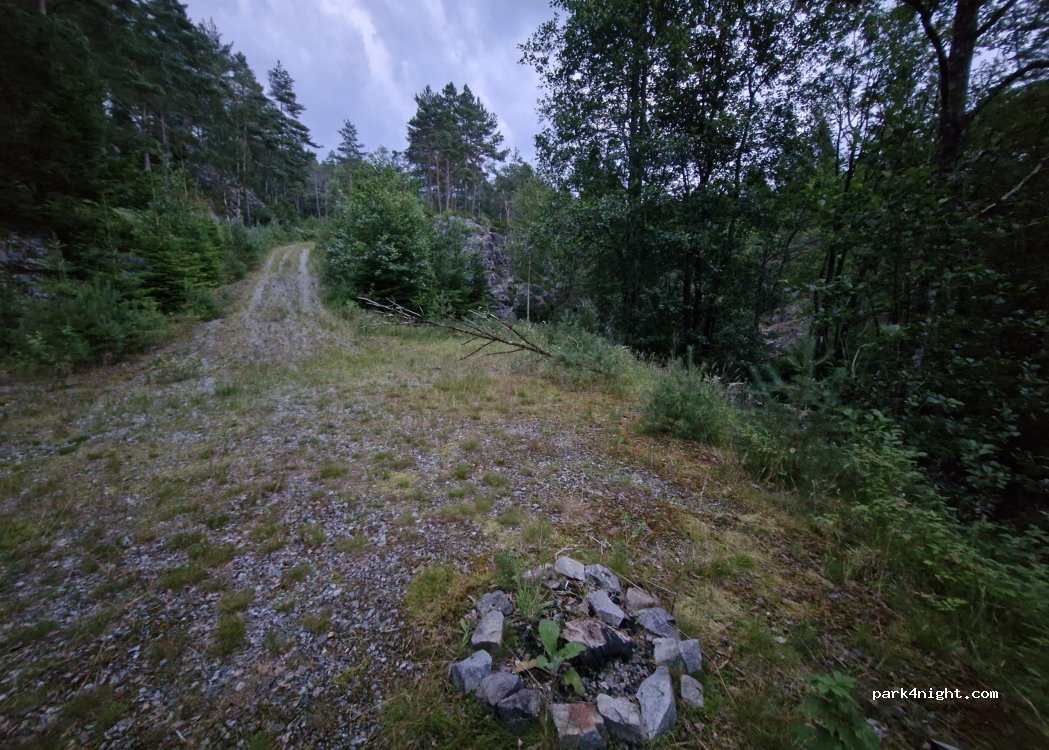 (5583) Vikedal - 54 Primær Fylkesveg 46 — foto 2