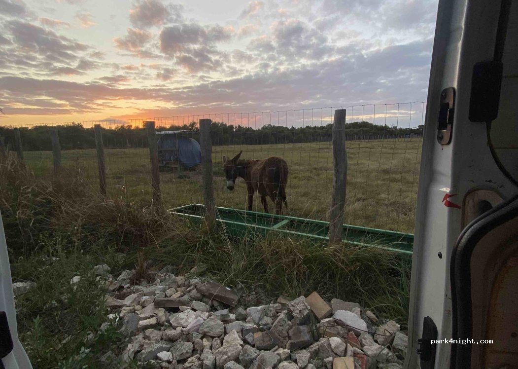 (17670) La Couarde-sur-Mer - — foto