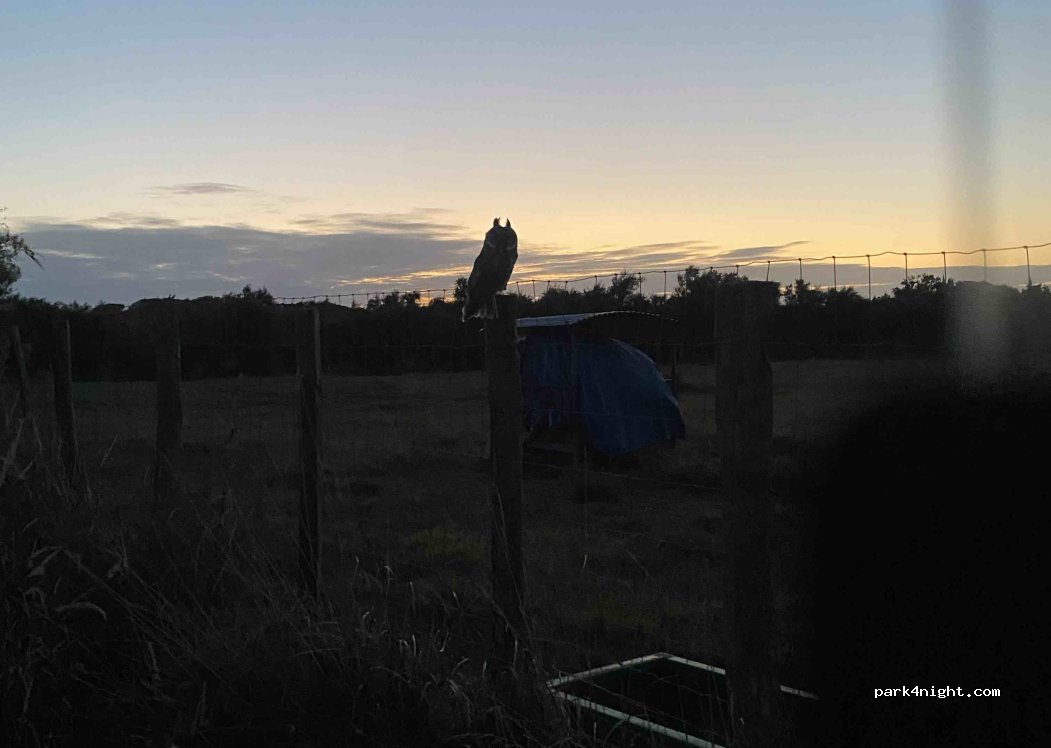 (17670) La Couarde-sur-Mer - — foto 2