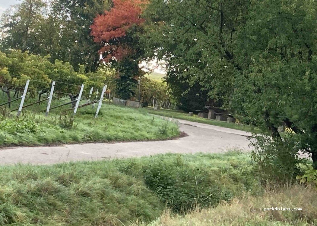 (67435) Neustadt an der Weinstraße - 8 Am Falltor — foto 4
