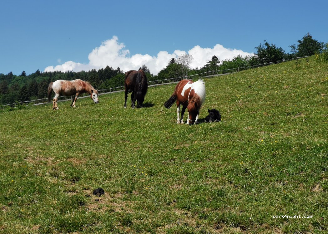 (87549) Rettenberg - 13 Engelpolz — foto 4