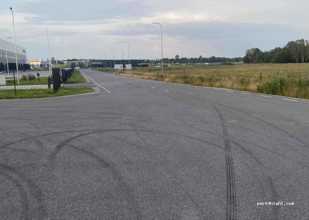 (76404) Jälgimäe - 7 Lepatriinu tee — foto 2