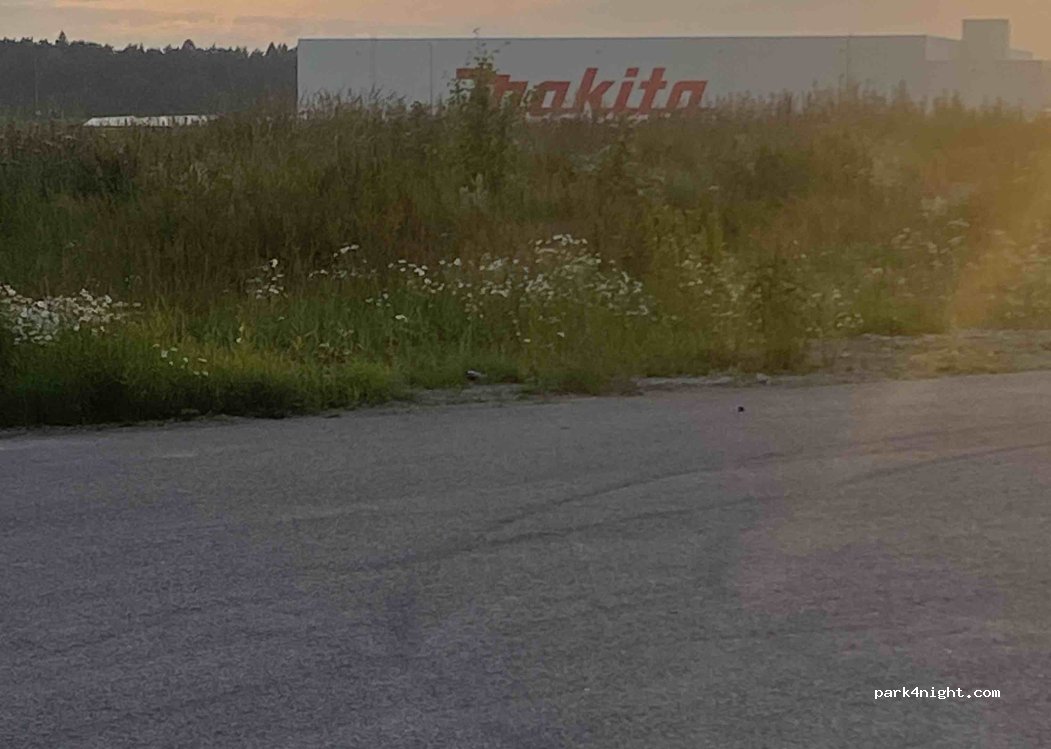 (76404) Jälgimäe - 7 Lepatriinu tee — foto 5