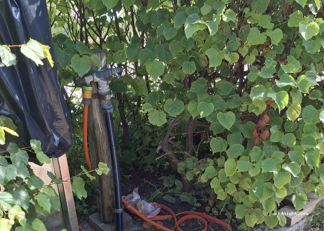 (239 30) Skanör - 1 Hamnvägen — foto