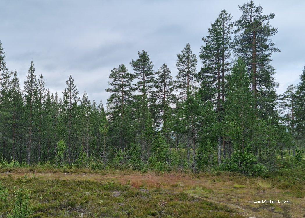 (780 69) Älvdalen - — foto