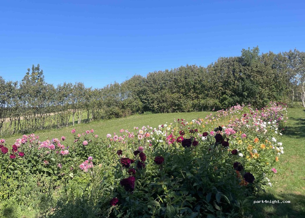 (5900) Rudkøbing - 71 Nordre Landevej — foto 2