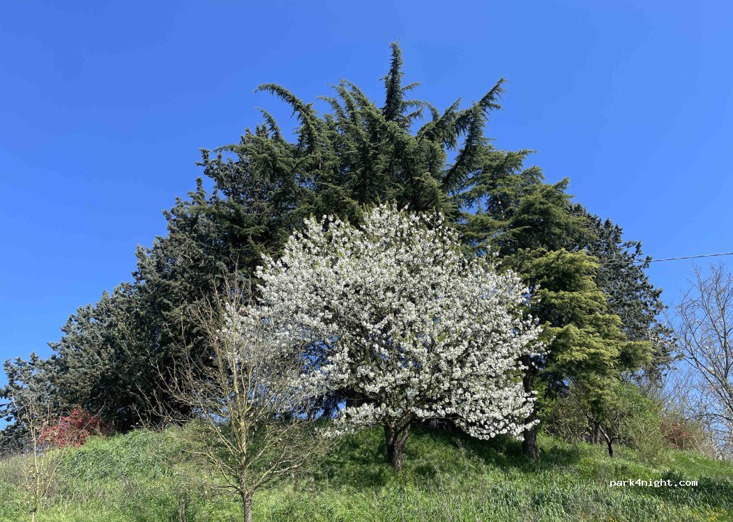 (15012) Bistagno - 2 Regione Roccaguercia — foto 3