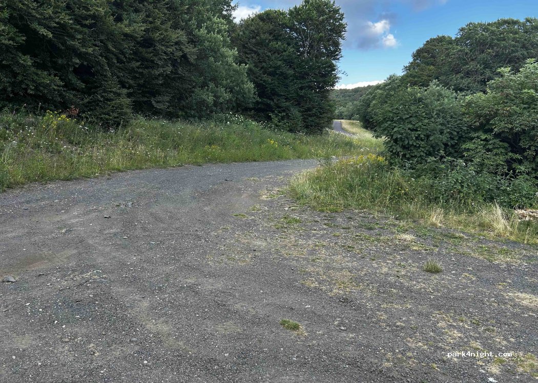 (63113) Picherande - — foto 2