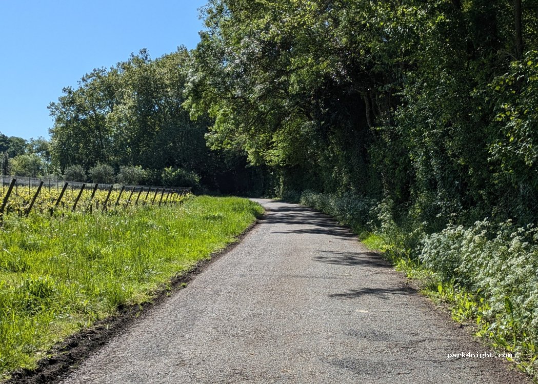 (33340) Blaignan-Prignac - 9 Route de la Pigotte — foto 2