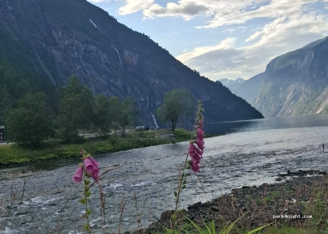 Tafjord Båthamn og Camping — foto 2