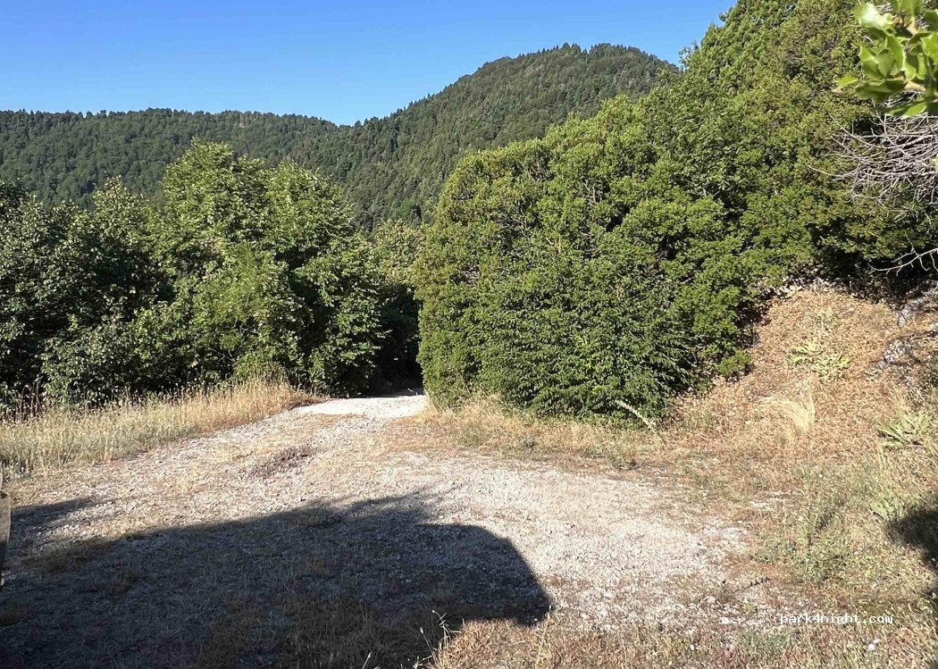 (153 44) Γέρακας - — foto 3