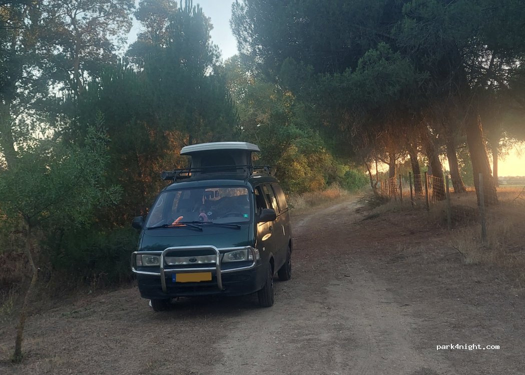 (47114) Torrecilla de la Abadesa - — foto
