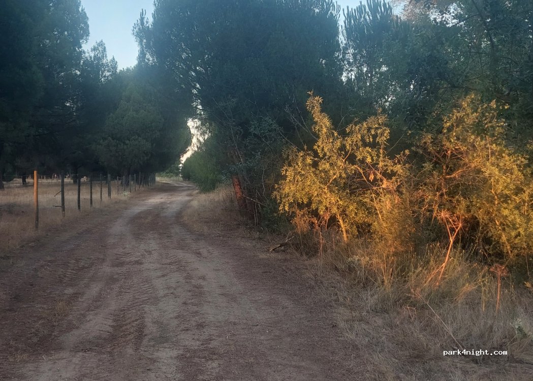 (47114) Torrecilla de la Abadesa - — foto 2