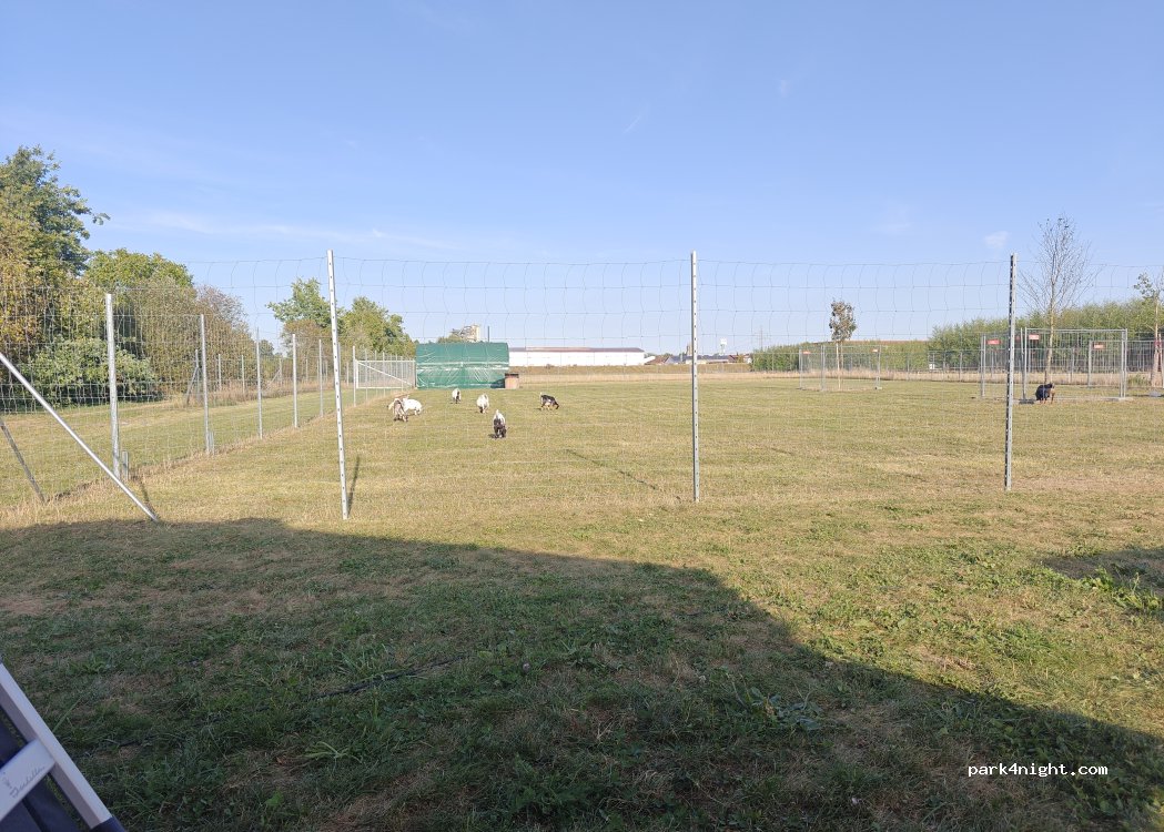 (93092) Barbing - 15 Unterheising — foto 5