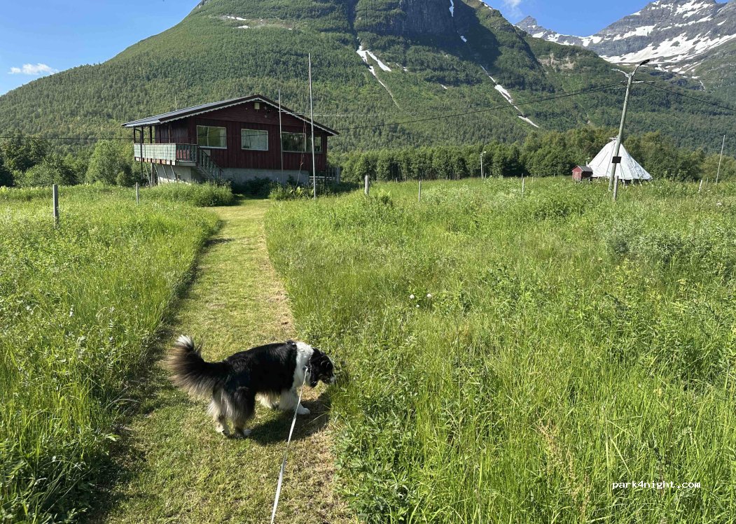 (9042) Laksvatn - 6 Ørnesveien — foto