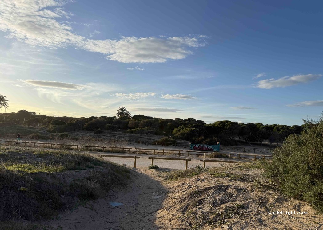 (03194) Elx - 263 Playa de La Marina — foto 3