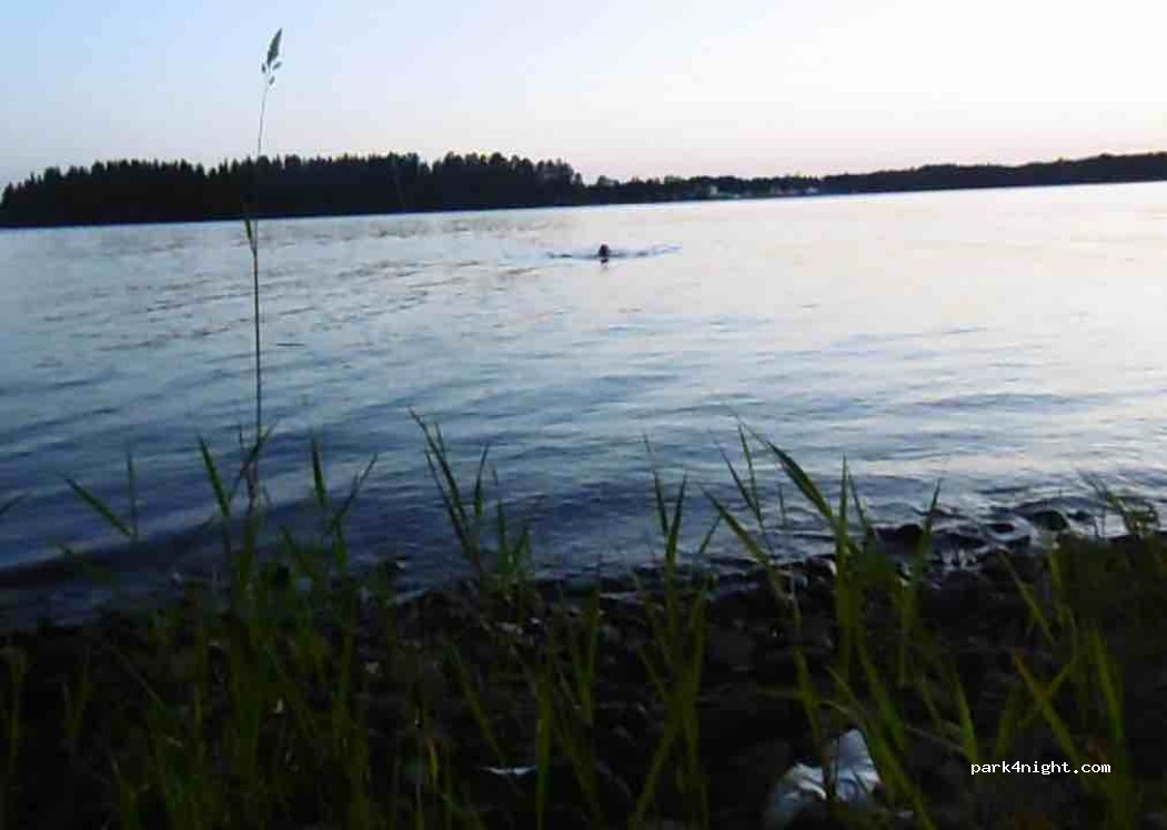 (833 35) Strömsund - 114 LANDÖN — foto 4