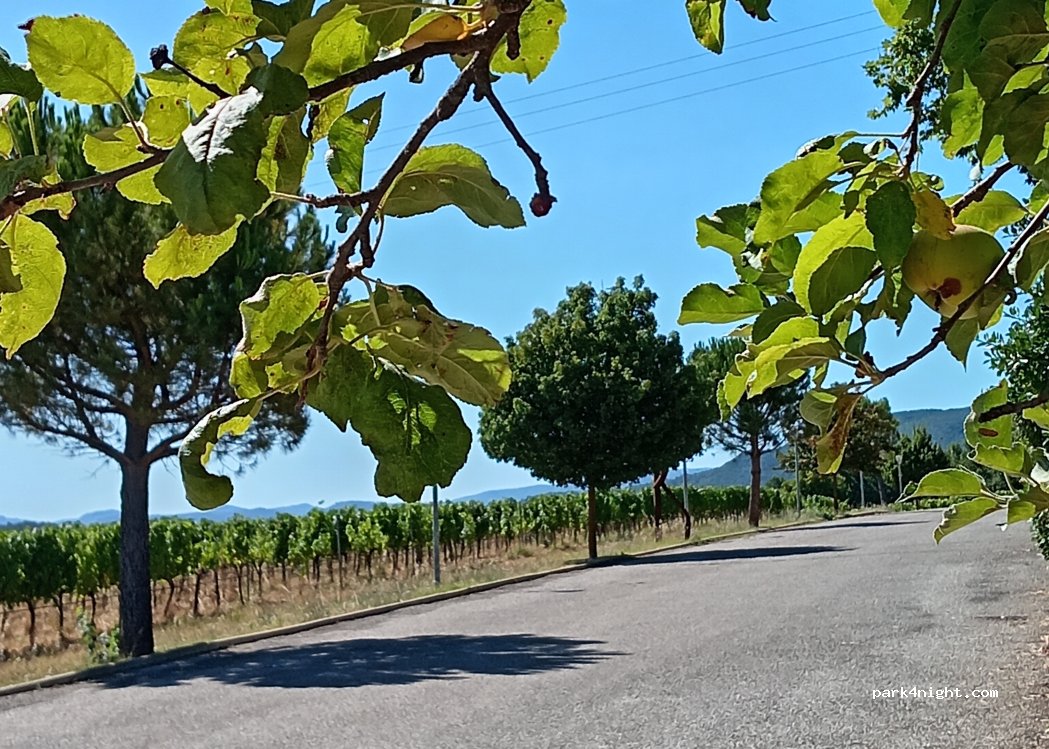 (83470) Ollières - — foto 3