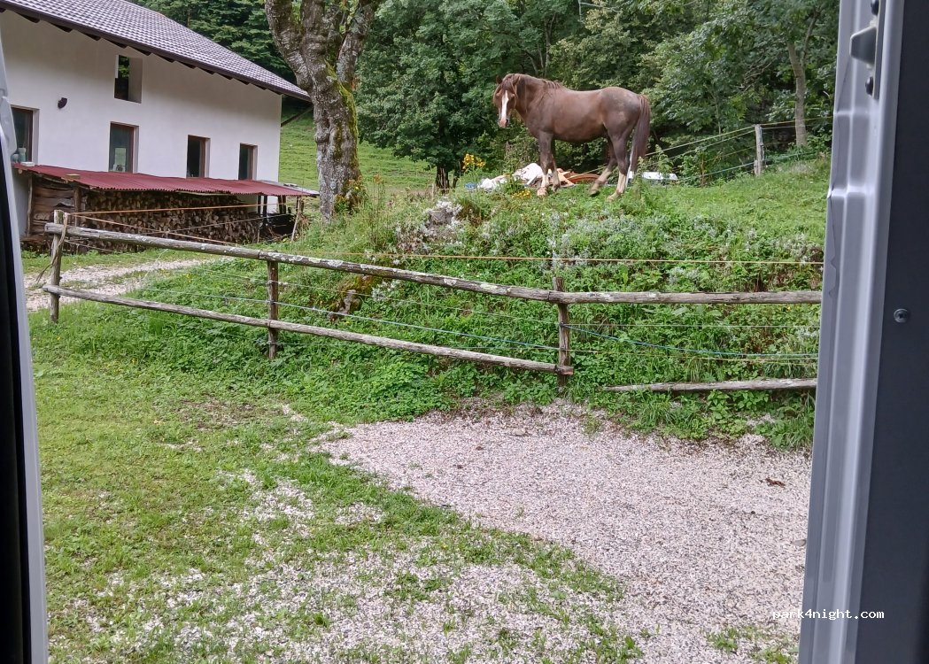 (5222)  - 2a Livške Ravne — foto 3