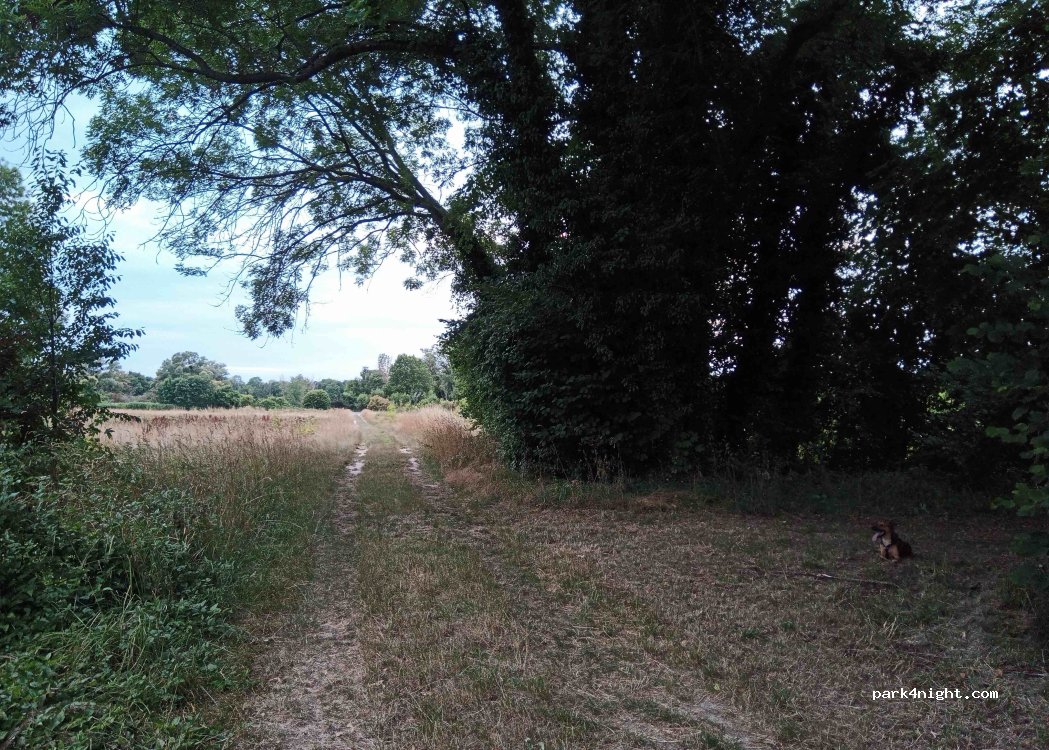 (51360) Val-de-Vesle - — foto