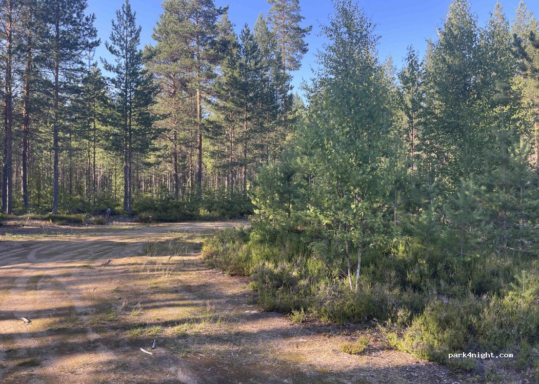 (2450) Åsta - — foto