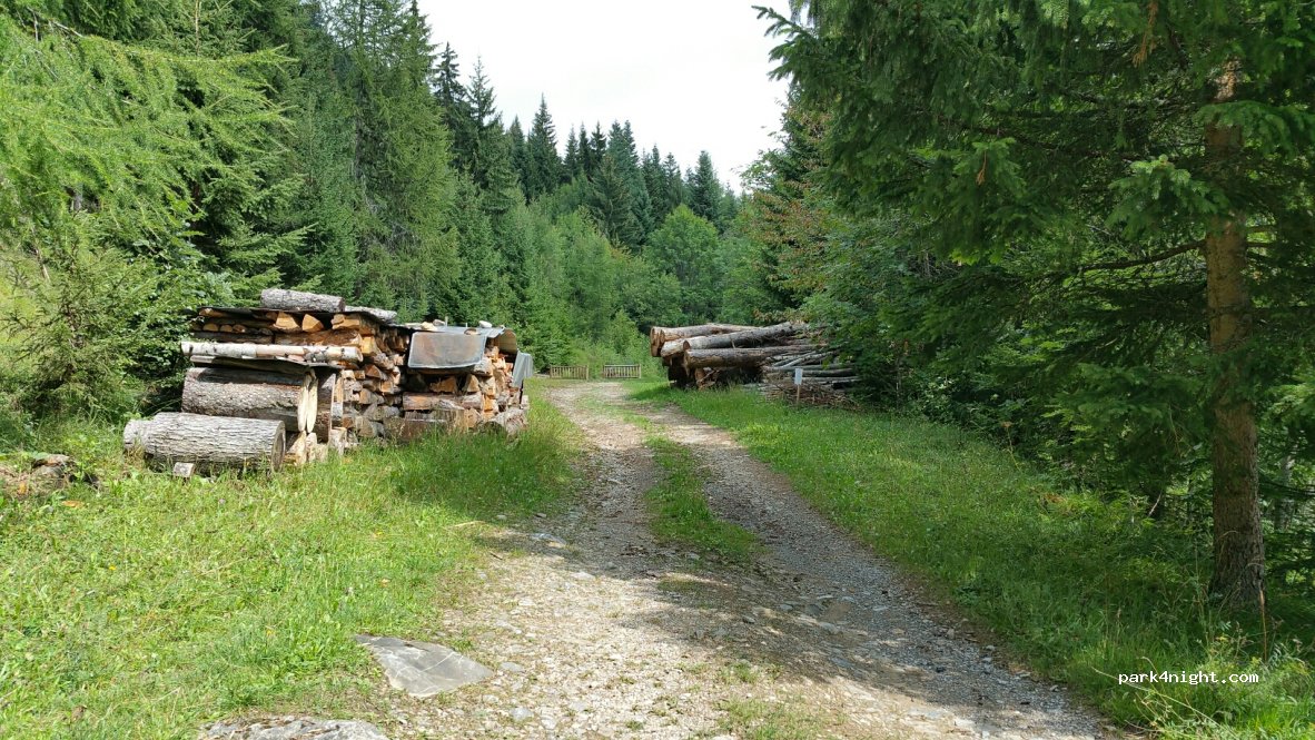 (73210) Granier - D218 — foto