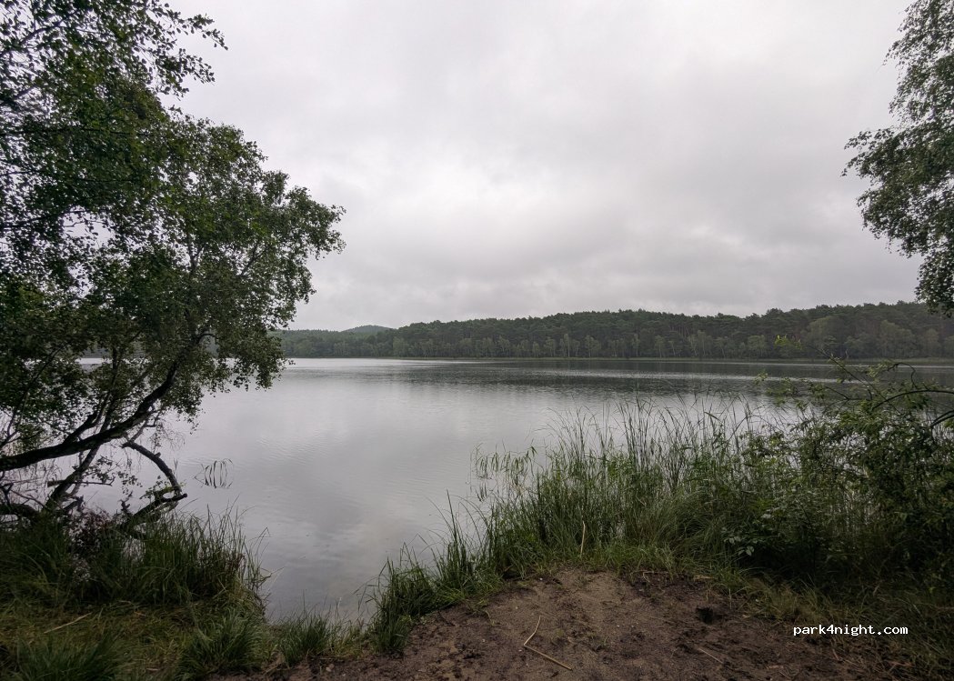 (15913) Märkische Heide - — foto
