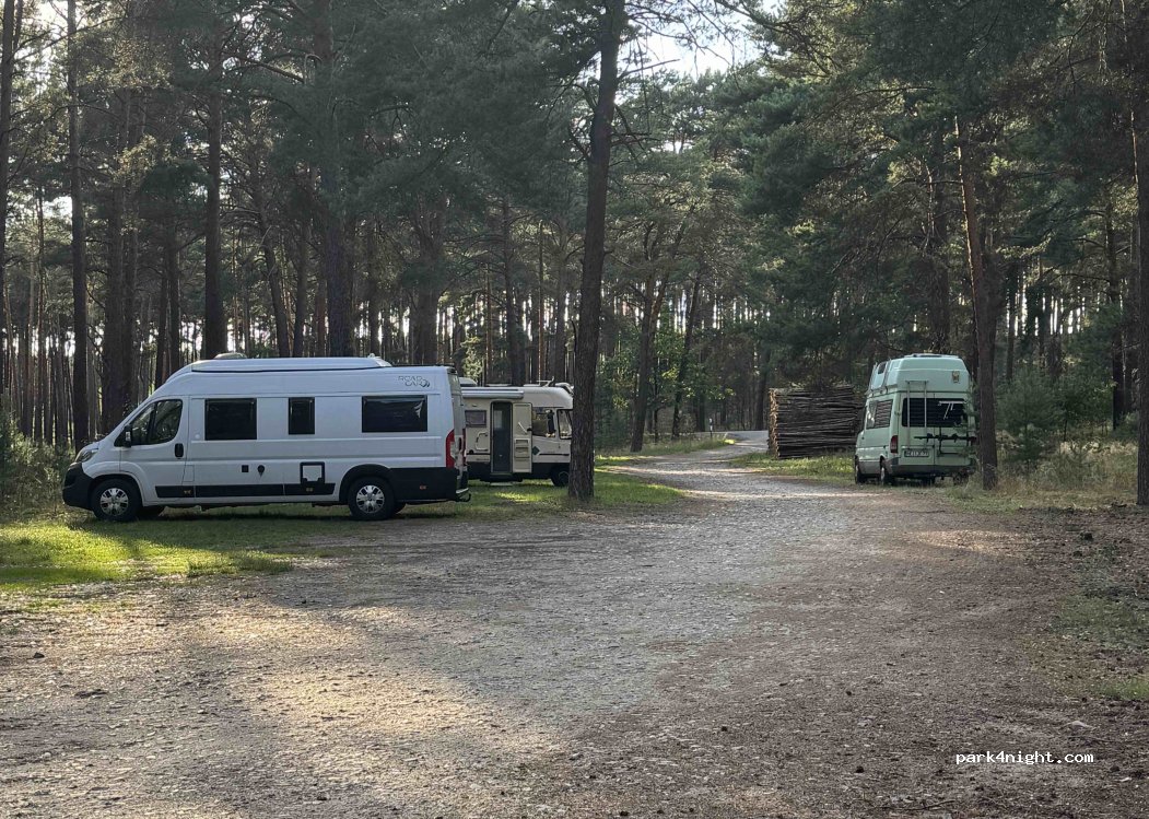 (15913) Märkische Heide - — foto 2