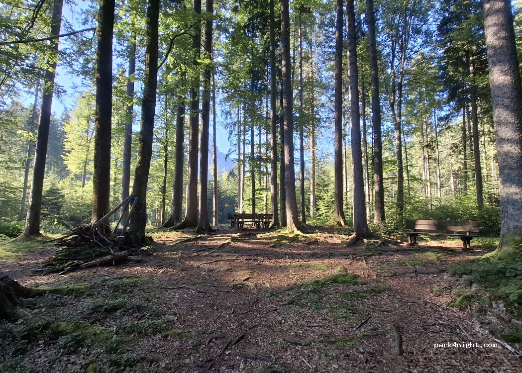 (33018) Tarvisio - — foto 2
